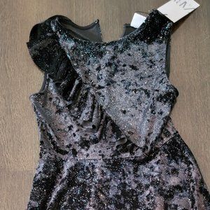 Beautiful Zara Dress NWT